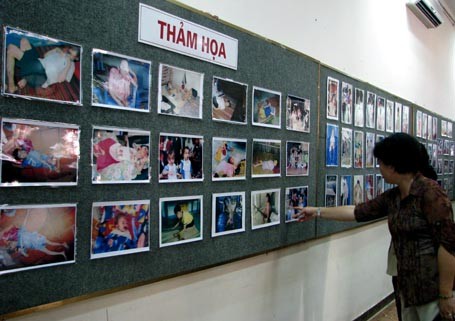 Exhibition marks 51st anniversary of Vietnam AO/dioxin disaster - ảnh 1